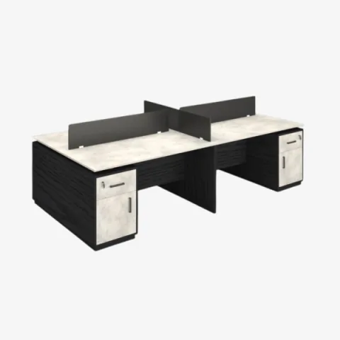 Bench professionnel avec avec séparation centrale et rangements sécurisés