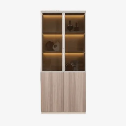 Bibliothèque bureau avec 2 porte vitre